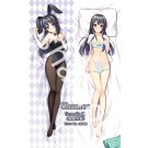 Rascal Does Not Dream of Bunny Girl Senpai Anime Dakimakura Pillow Cover