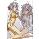 Full Metal Panic! Teletha Testarossa Anime Dakimakura Pillow Cover