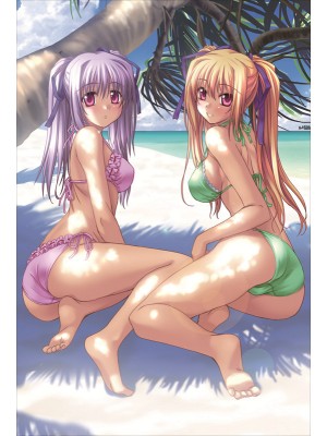 Shinkyoku Soukai Polyphonica Perserte + Prinesca Anime Dakimakura Body Pillow Cover 