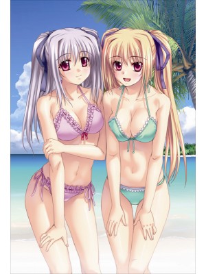 Shinkyoku Soukai Polyphonica - Perserte + Prinesca Anime Dakimakura Body Pillow Cover 