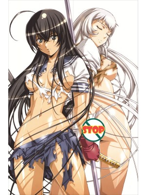 Battle Vixens Kanu Unchou Anime Dakimakura Pillow Cover 