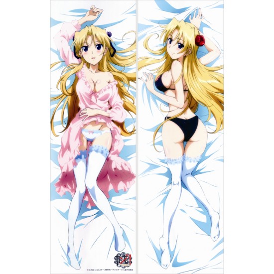 Campione - Erica Brandelli ANIME DAKIMAKURA JAPANESE PILLOW COVER