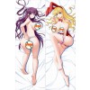 Chikan Senyou Sharyou - Cindy Akiyama + Tsubaki Kirishima ANIME DAKIMAKURA JAPANESE PILLOW COVER