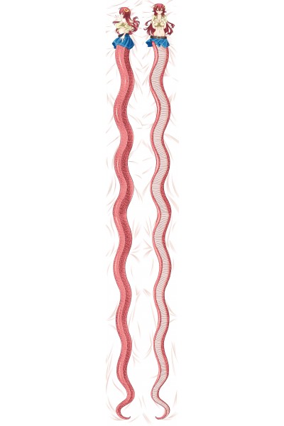 Monster sales musume dakimakura