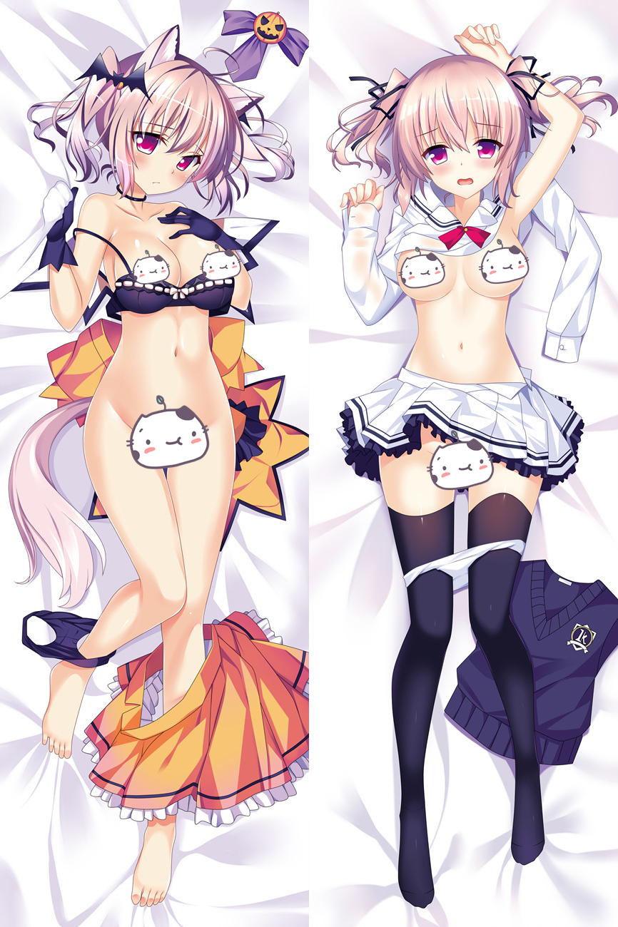 Hentai Galgame Anime Dakimakura Pillow Cover510106