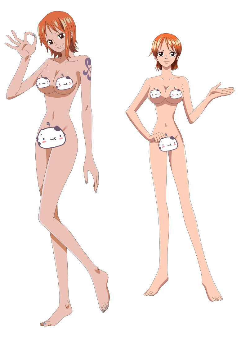 One Piece Nami Anime Dakimakura Pillow Cover