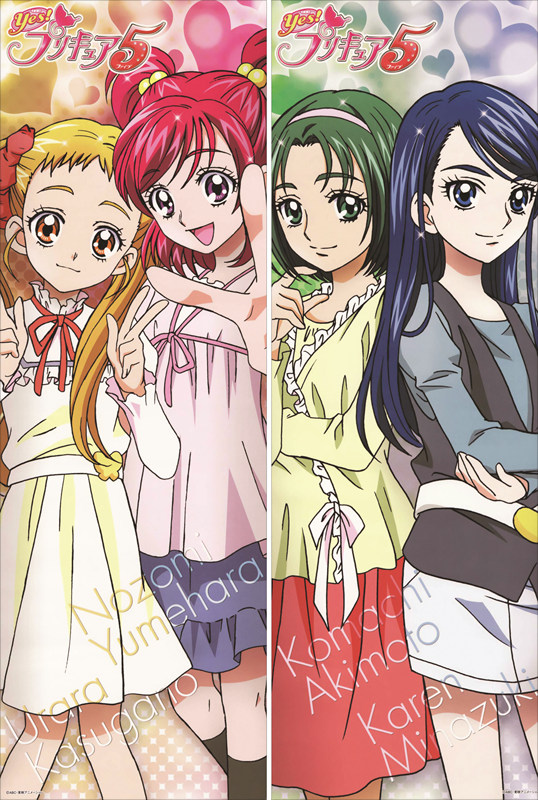 Pretty Cure Anime Dakimakura Body Pillow Cover
