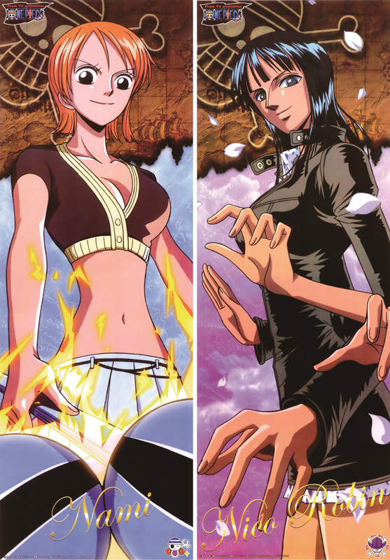 One Piece Anime Dakimakura Body Pillow Cover