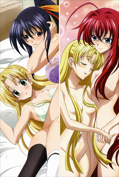 High School DxD Asia Argento Anime Dakimakura Body Pillow Cover
