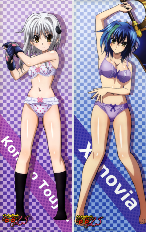 High School DxD Koneko Toujou + Xenovia Quarta Anime Dakimakura Body Pillow Cover