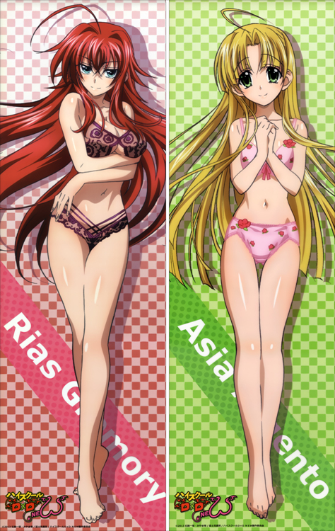 High School DxD Rias Gremory + Asia Argento Anime Dakimakura Body Pillow Cover