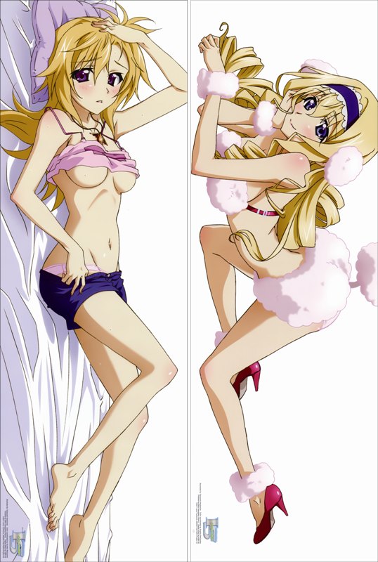 Infinite Stratos Charlotte Dunois + Cecilia Alcott Anime Dakimakura Body Pillow Cover