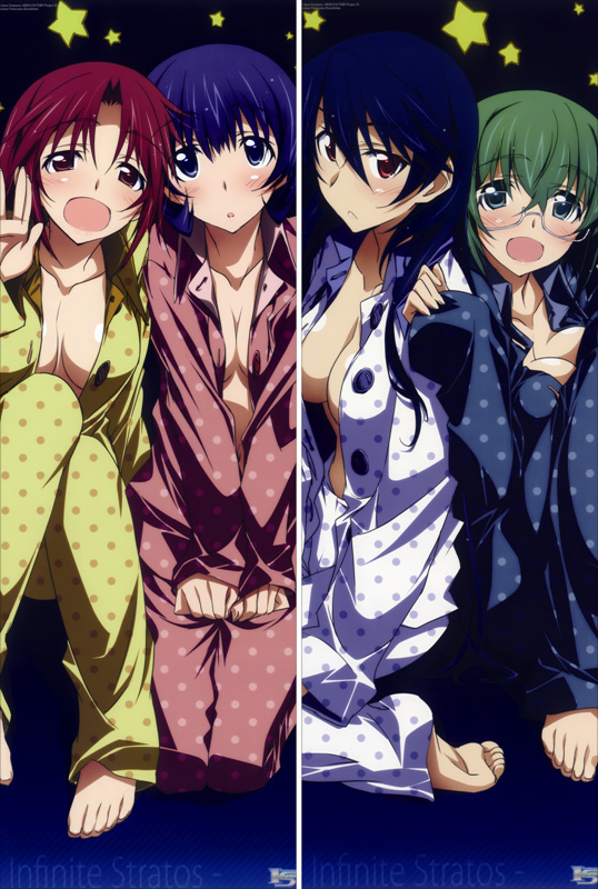 Infinite Stratos Houki Shinonono Anime Dakimakura Body Pillow Cover