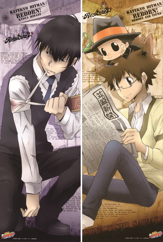 Reborn! Kyoya Hibari + Tsunayoshi Sawada Anime Dakimakura Body Pillow Case