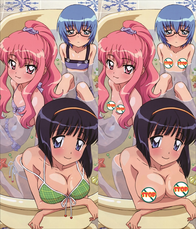 The Familiar of Zero Louise Francoise le Blanc de la Valliere Anime Dakimakura Body Pillow Cover
