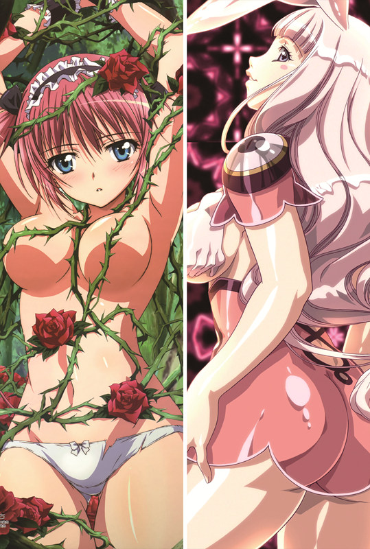 Queen's Blade Anime Dakimakura Body Pillow Cover