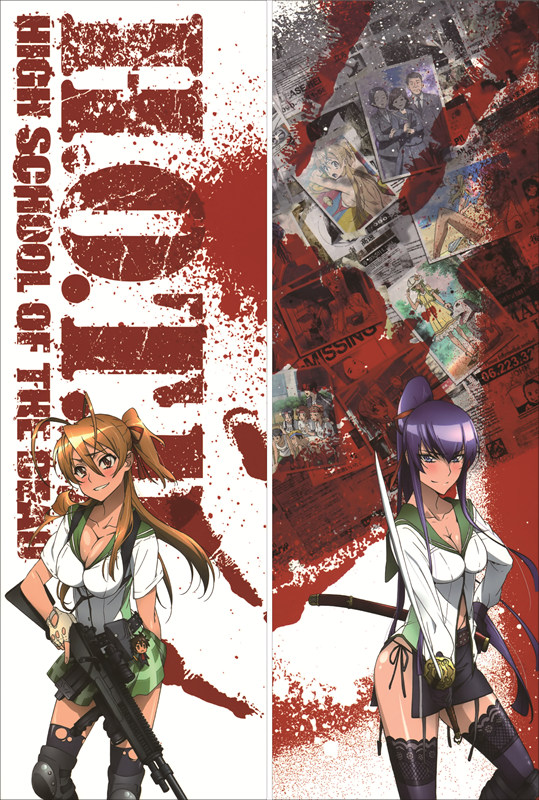 Highschool of the Dead Alice Maresato Anime Dakimakura Anime Dakimakura Body Pillow Case