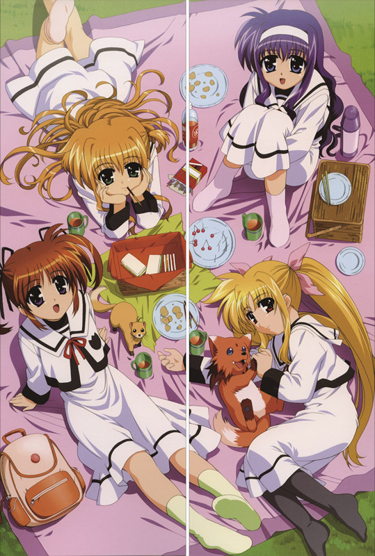 Magical Girl Lyrical Nanoha Fate Testarossa Anime Dakimakura Pillow Cover