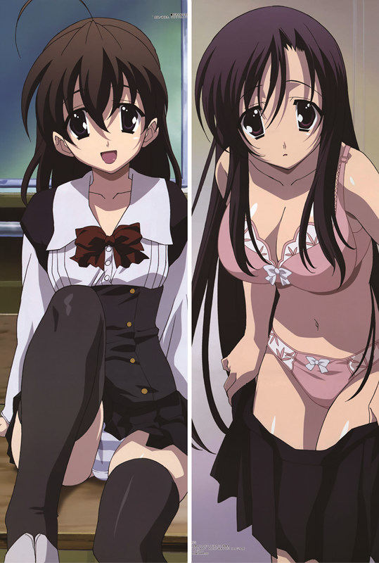 School Days Kotonoha Katsura Anime Dakimakura Pillow Cover