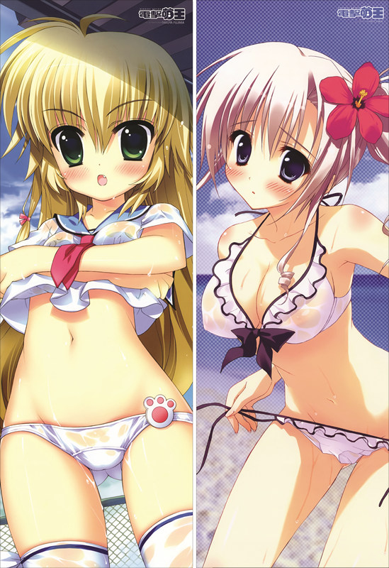 Dengeki Daioh Anime Dakimakura Japanese Pillow Cover