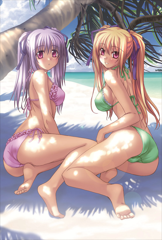 Shinkyoku Soukai Polyphonica Perserte + Prinesca Anime Dakimakura Body Pillow Cover
