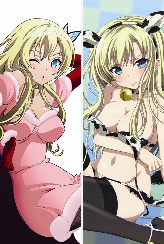 I Don't Have Many Friends Sena Kashiwazaki Anime Dakimakura Pillow Cover