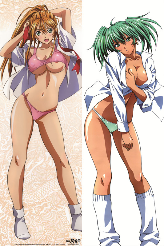 Battle Vixens Hakufu Sonsaku Anime Dakimakura Pillow Cover