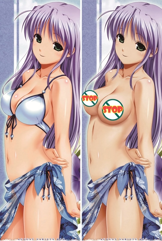 Yoake Mae yori Ruriiro na Feena Fam Earthlight Anime Dakimakura Pillow Cover