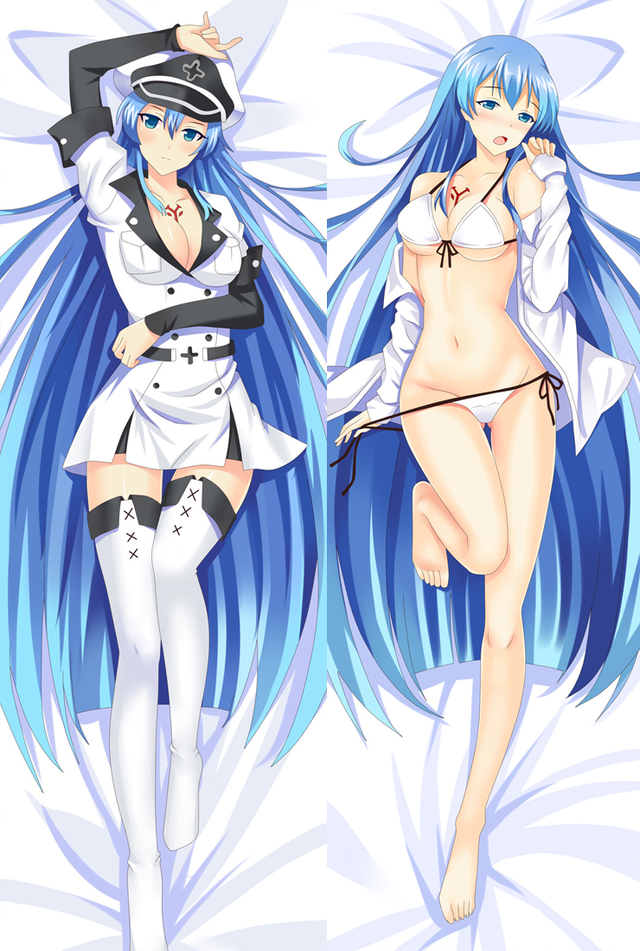 Akame Ga Kill! Esdeath Anime Dakimakura Pillow Cover