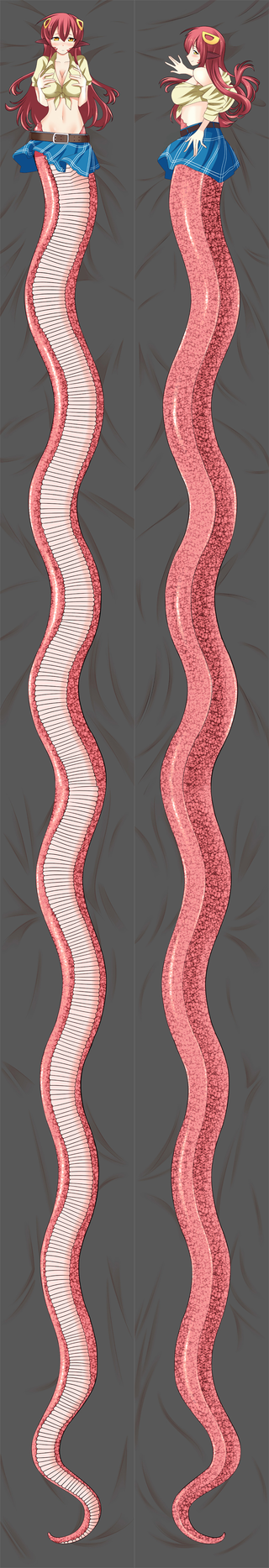 Monster Musume No Iru Nichijou Miia 50×700cm Anime Dakimakura Pillow Cover